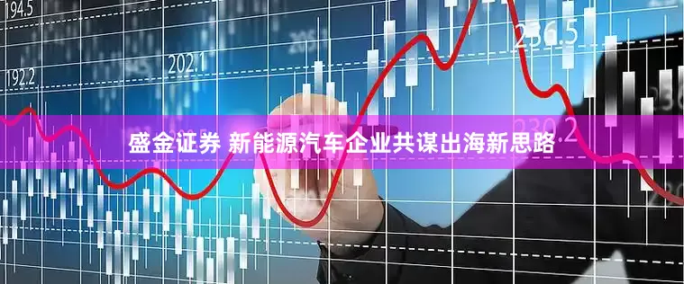 盛金证券 新能源汽车企业共谋出海新思路