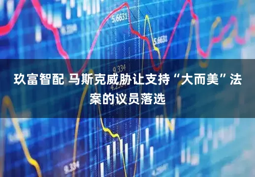 玖富智配 马斯克威胁让支持“大而美”法案的议员落选