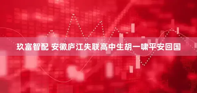 玖富智配 安徽庐江失联高中生胡一啸平安回国